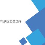wms系統(tǒng)怎么選擇？